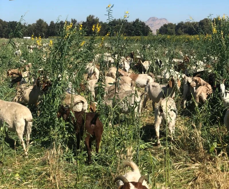 Photo of Park Farming Organics